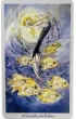 Tarot Krainy Cieni