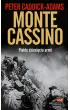 Monte Cassino. Piek�o dziesi�ciu armii