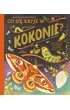 Co si� kryje w kokonie? Fascynuj�ce ciekawostki o �mach i motylach