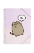 Skoroszyt A4 z gumk� Pusheen CFA405