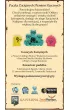 Root: Paczka Zacinych Plemion Rzecznych Portal Games