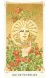 Tarot of the Fairy Folk