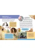 Ksi��ka edu. B5 Ma�a encyklopedia. Koty SKRZAT 077322