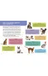 Ksi��ka edu. B5 Ma�a encyklopedia. Koty SKRZAT 077322