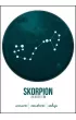 Znak zodiaku, Skorpion - plakat 60x80 cm