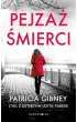 Pejzaż śmierci. Cykl z detektyw Lottie Parker – Patricia  Gibney – okładka ebook