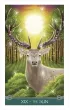Universal Celtic Tarot Mini
