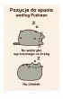 To ja, Pusheen