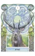 Celtic Astrology, karty do wr�enia