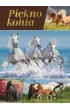 Pi�kno konia