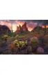 Puzzle 500 el. Kaktusy Ravensburger