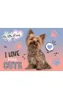 Unipap Podk�ad na biurko dwustronny My little friend