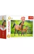 Puzzle 54el Mini wiat koni 19724, 19725, 19726, 19727 (54193) Trefl