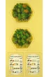 Catan: Dodatek dla 5-6 graczy (eko) Galakta