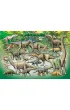 Puzzle 100 el. + Lunch box - Dinosaur Eurographics
