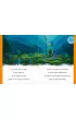 1, 2, 3, czytasz Ty! Poziom 3. Marzenia si� spe�niaj�. Disney Pixar Luca