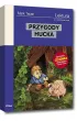 Przygody Hucka
