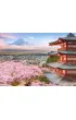 Puzzle 500 el. Spring in Japan CASTORLAND  B-54282