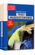 Trzej muszkieterowie. Lektura z opracowaniem