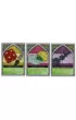 Sagrada. Pasja FoxGames