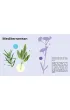 The Instant Garden