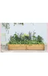 The Instant Garden
