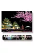 Twoje Hobby Mount Fuji Plus. Magiczna zdrapka - wydrapywanka 75.0 x 52.0 cm