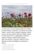 Ja i moje otoczenie. Karty pracy dla uczni�w z niepe�nosprawno�ci� intelektualn�. Cz�� 3 i 4