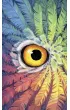 Tarot S�w, mini karty do wr�enia