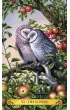 Tarot S�w, mini karty do wr�enia