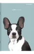 Zeszyt Top 2000 A4 Sweet Animal z marginesem linia, 9 mm, margines 60 kartek