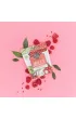Diet-Food �elki owocowe o smaku maliny 50 g Bio