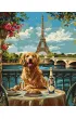 Ideyka Malowanie po numerach - Retriever w Pary�u 40x50cm