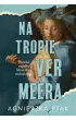 Na tropie Vermeera