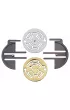 �amig��wka Medallion poziom 5/6 Hanayama