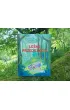 Le�ne przedszkole