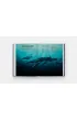 Mysteries of Marine Mammals. An Illustrated Guide to Whales, Dolphins, and Porpoises
