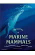 Mysteries of Marine Mammals. An Illustrated Guide to Whales, Dolphins, and Porpoises