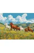 Ideyka Malowanie po numerach - Si�a i wdzi�k 40x50cm