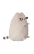 Pusheen siedzacy soft
