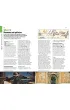 Rough Guides Walks & Tours Krak�w wer. angielska