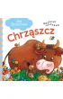Chrz�szcz