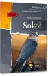 Sok. Lektura z opracowaniem