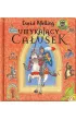 Umykaj�cy ca�usek