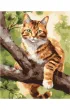 Qbee Malowanie po numerach - �owca na drzewie 40x50cm
