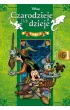 Czarodzieje i ich dzieje. Tom 5
