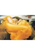 Puzzle 1000 el. �pi�ca June Eurographics