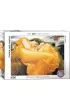 Puzzle 1000 el. �pi�ca June Eurographics