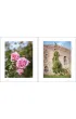 Roses In The Garden wer. angielska