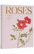 Roses In The Garden wer. angielska